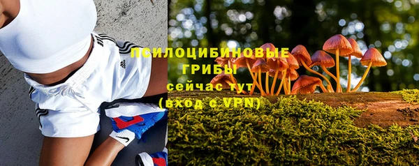 мдма Богородск