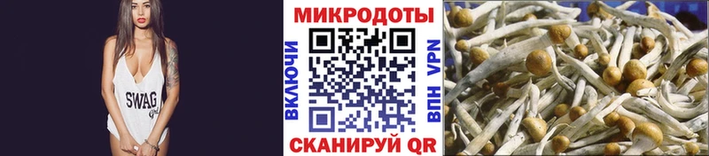 MEGA сайт  сколько стоит  Мончегорск  Псилоцибиновые грибы ЛСД 
